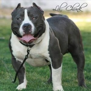 Meet your Posher, Tami